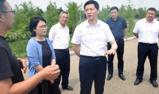 永定河泛区 永定河泛区