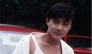 张卫健电影 张卫健电影